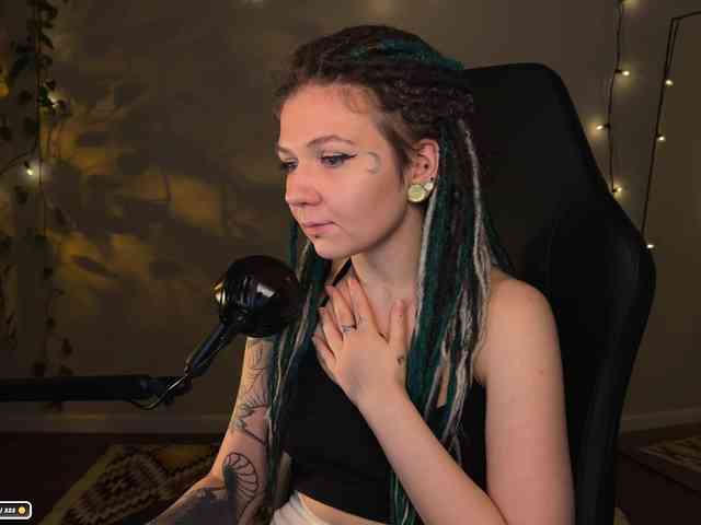 SOVA_tut webcam