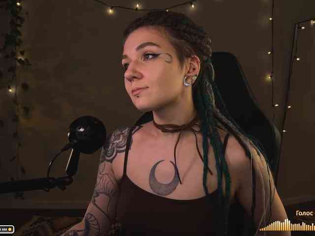 SOVA_tut webcam