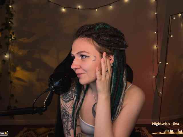 SOVA_tut webcam