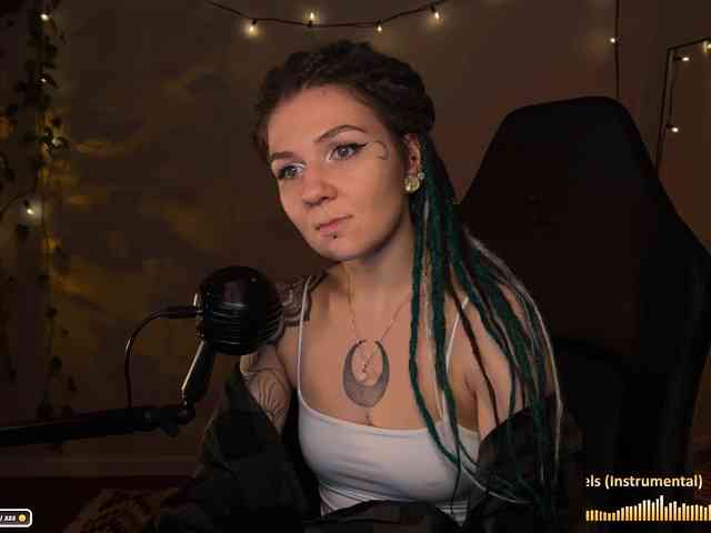 SOVA_tut webcam