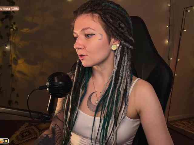 SOVA_tut webcam