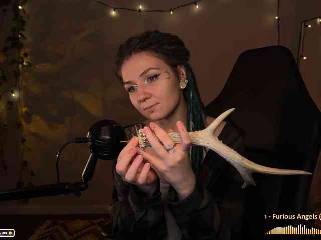 SOVA_tut webcam