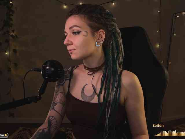 SOVA_tut webcam