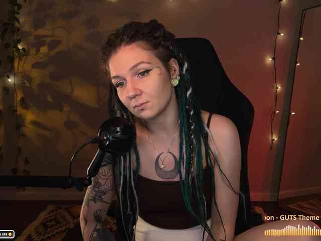 SOVA_tut webcam
