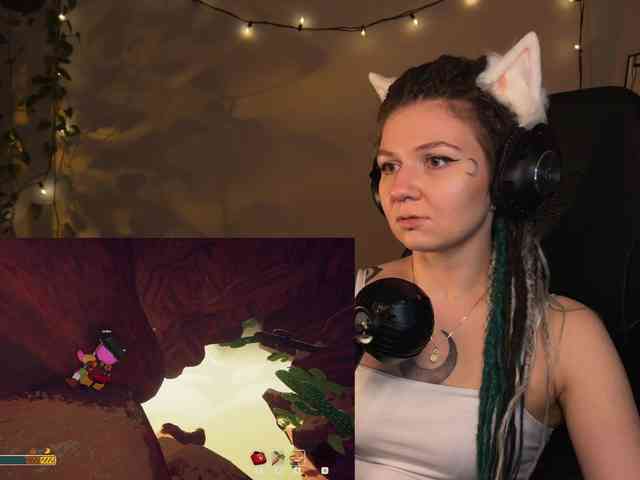 SOVA_tut webcam