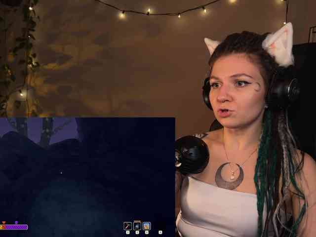 SOVA_tut webcam