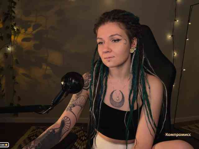 SOVA_tut webcam