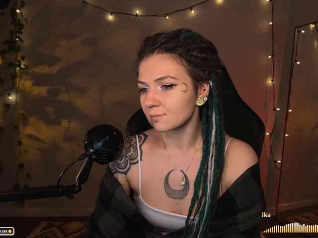 SOVA_tut webcam