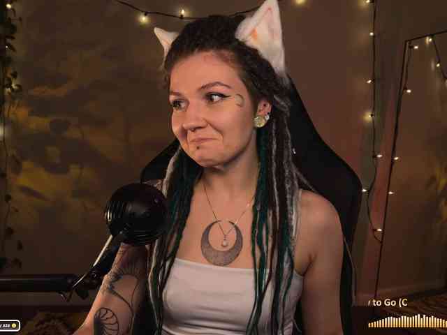 SOVA_tut webcam