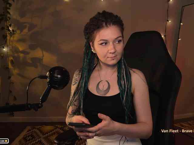 SOVA_tut webcam