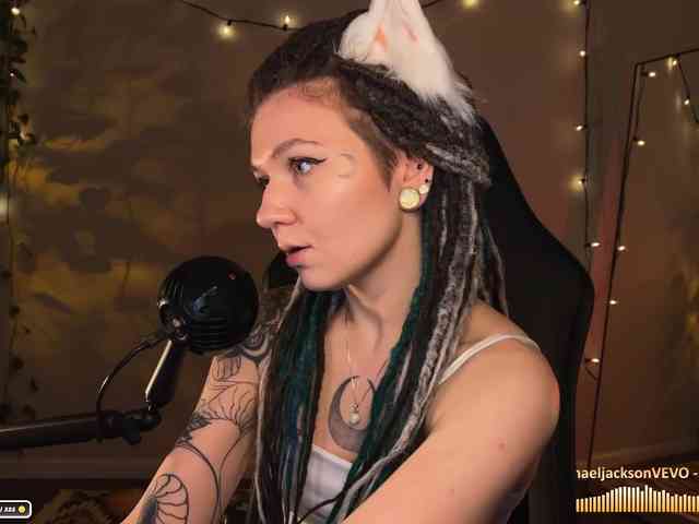 SOVA_tut webcam