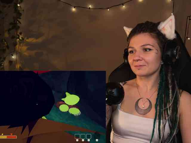SOVA_tut webcam