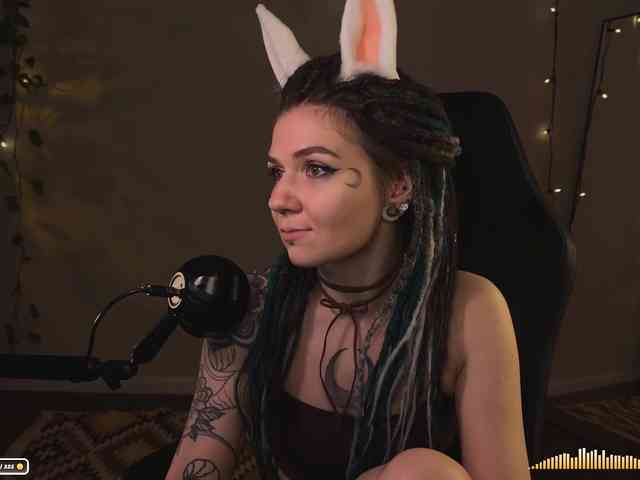 SOVA_tut webcam