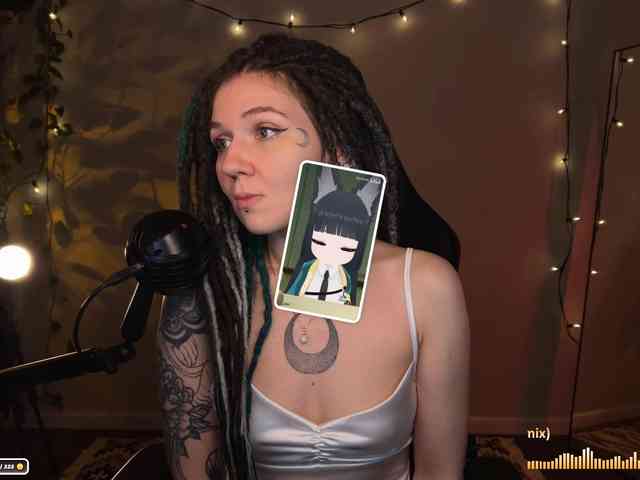 SOVA_tut webcam