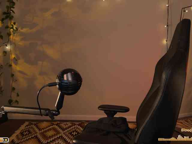 SOVA_tut webcam