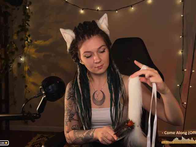 SOVA_tut webcam