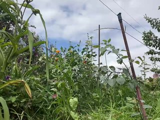 YaseniyaLove Porn Show