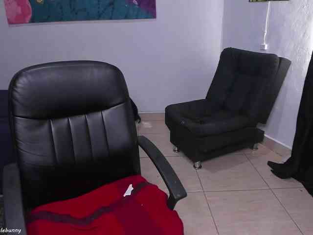 danielebunny danielebunny