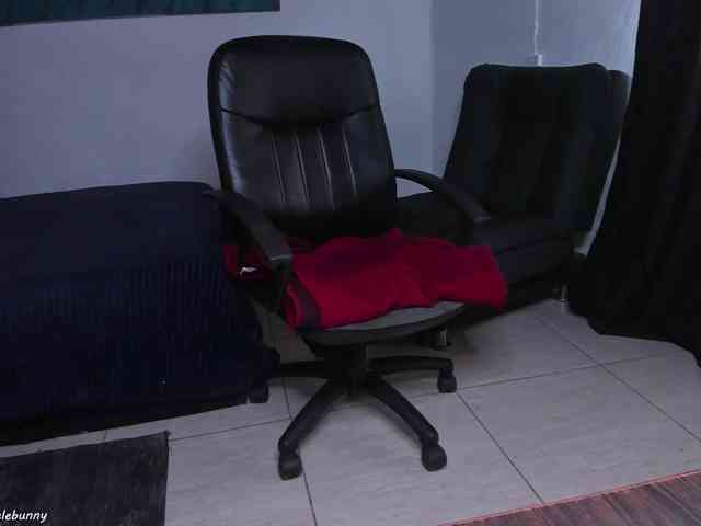 danielebunny danielebunny