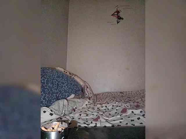 LexyRay webcam