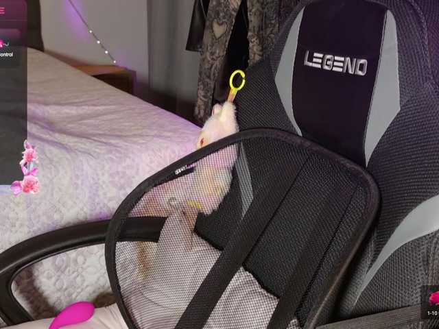 sweety-kittyy's BongaCams show and profile