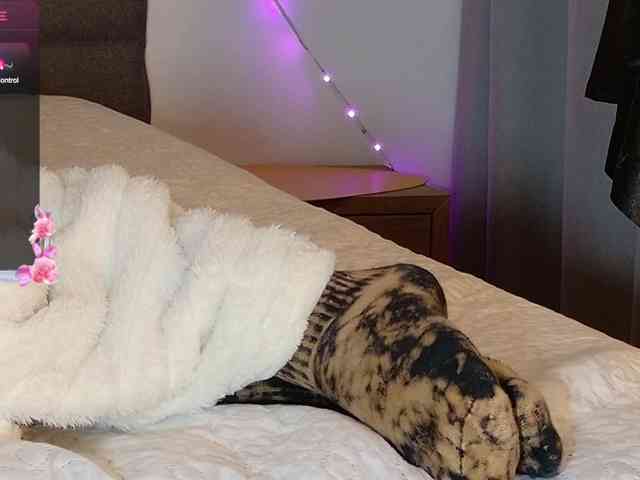 sweety-kittyy webcam