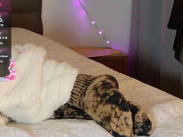 sweety-kittyy webcam