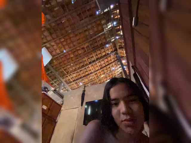Diannasutrin webcam