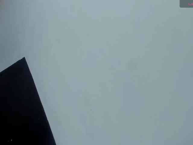 alanabonny webcam
