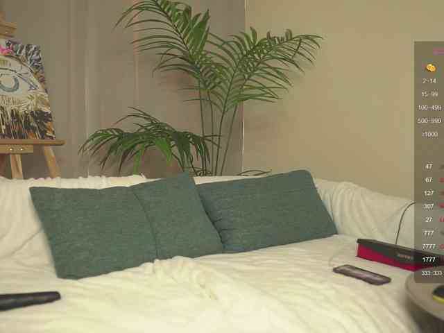 MiraWair webcam