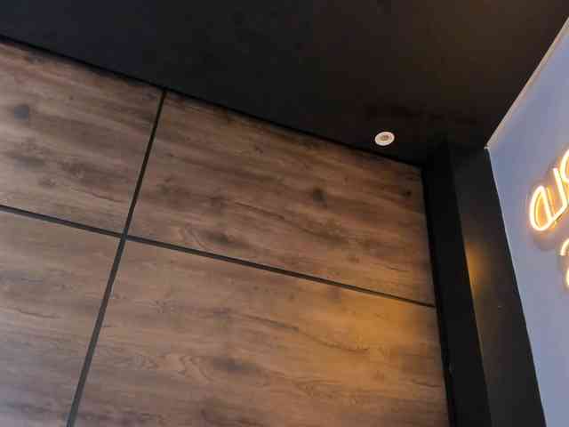 Aylamonroe webcam