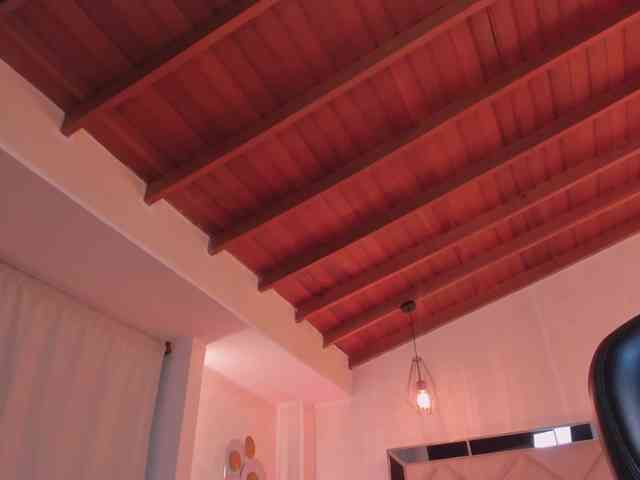 SophieHouston webcam