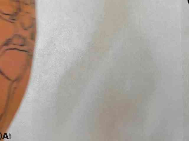Looly-Rise webcam