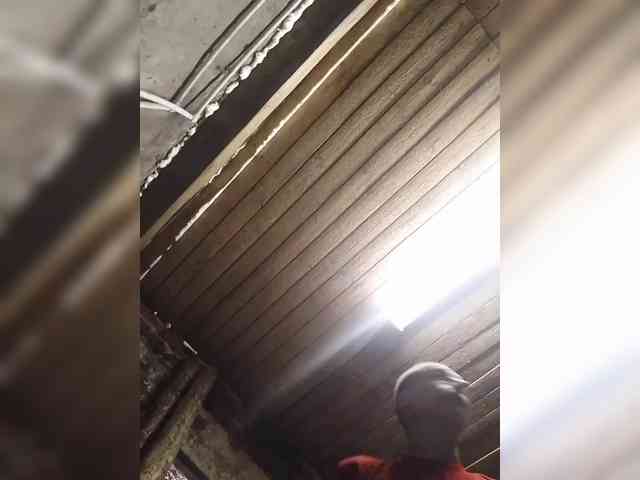 AleaAl1982 AleaAl1982