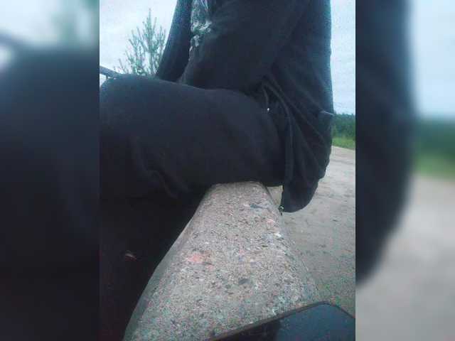 Gryzovik