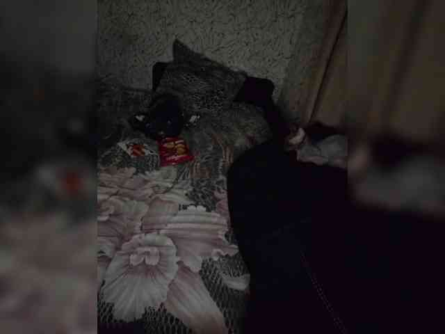 Helda9393 Helda9393