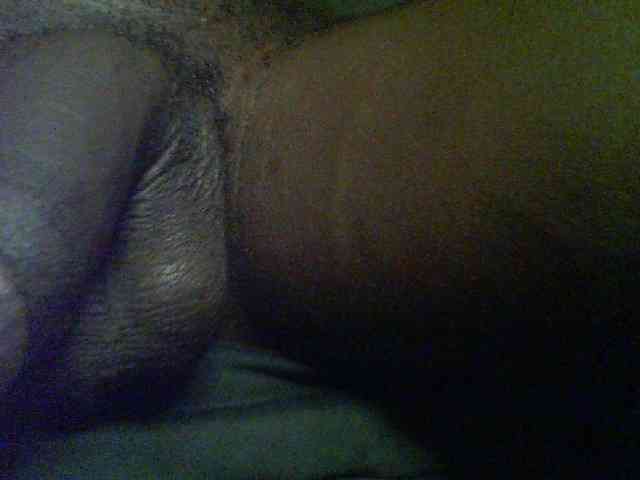 Sunnybbc0011 Sunnybbc0011