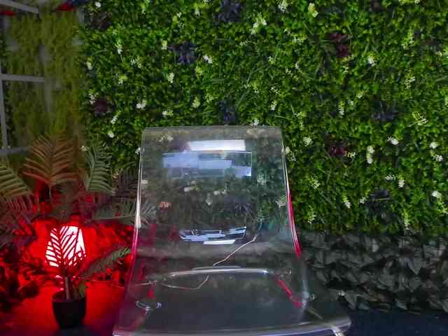 Diamond-naughty webcam
