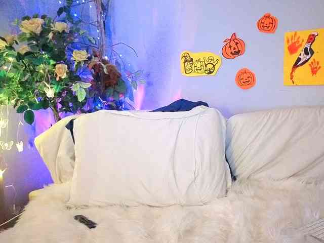 CanadianBeaver6969 webcam
