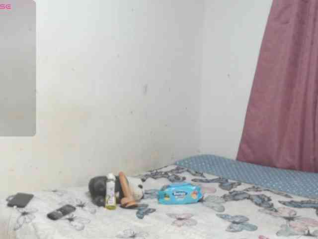 kim291 webcam