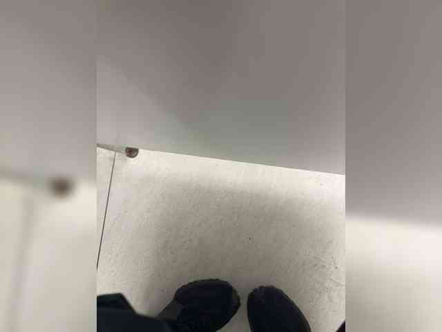 AnthonyRasits AnthonyRasits