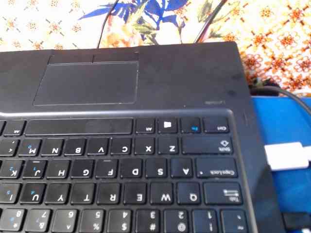 ivy_Skyi webcam
