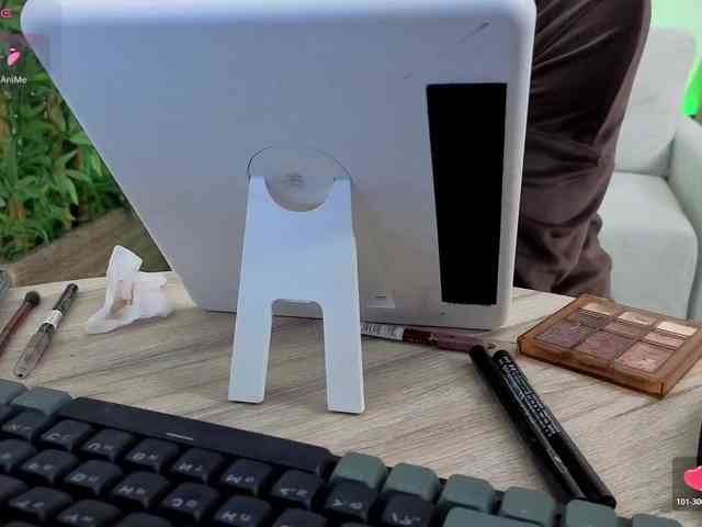 Danielea webcam