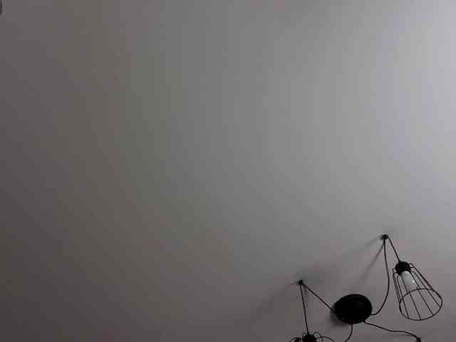 Danielea webcam