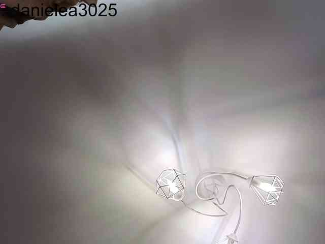 Danielea webcam