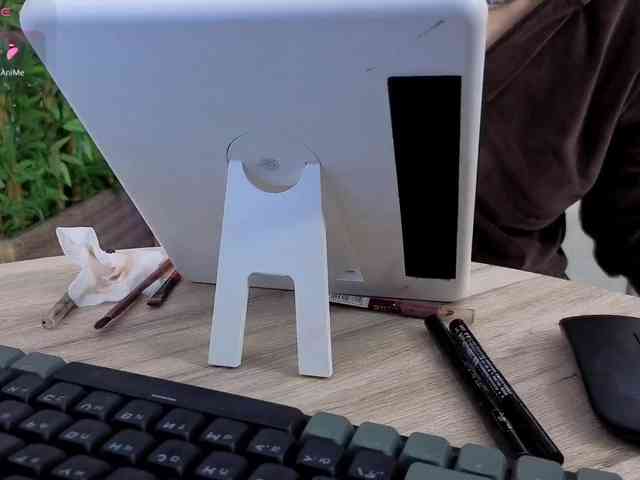 Danielea webcam