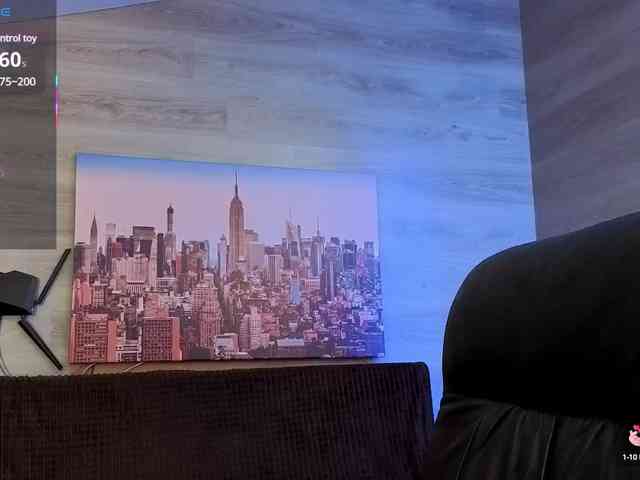 Danielea webcam
