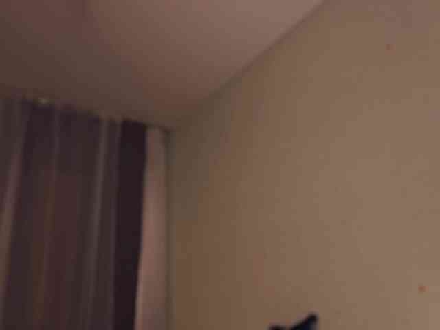MiaLuw webcam