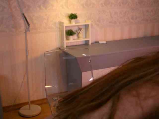 amberpaws webcam
