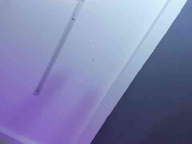 Fallon-1 webcam